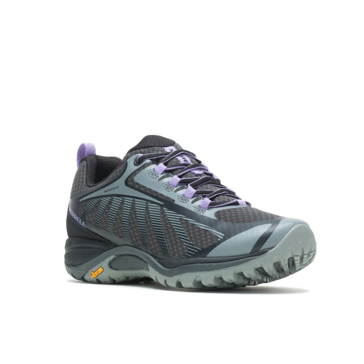Black/Violet