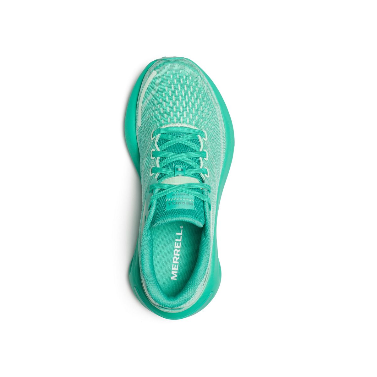 Morphlite, Turquoise, dynamic 3
