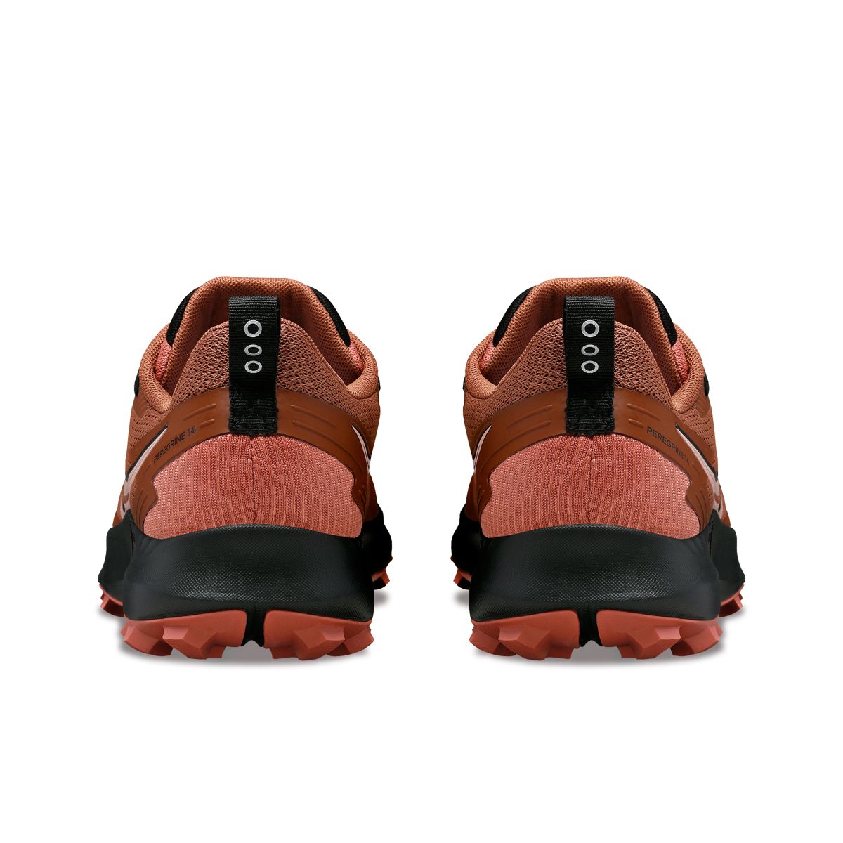 Peregrine 14 GTX, Clove | Black, dynamic 4