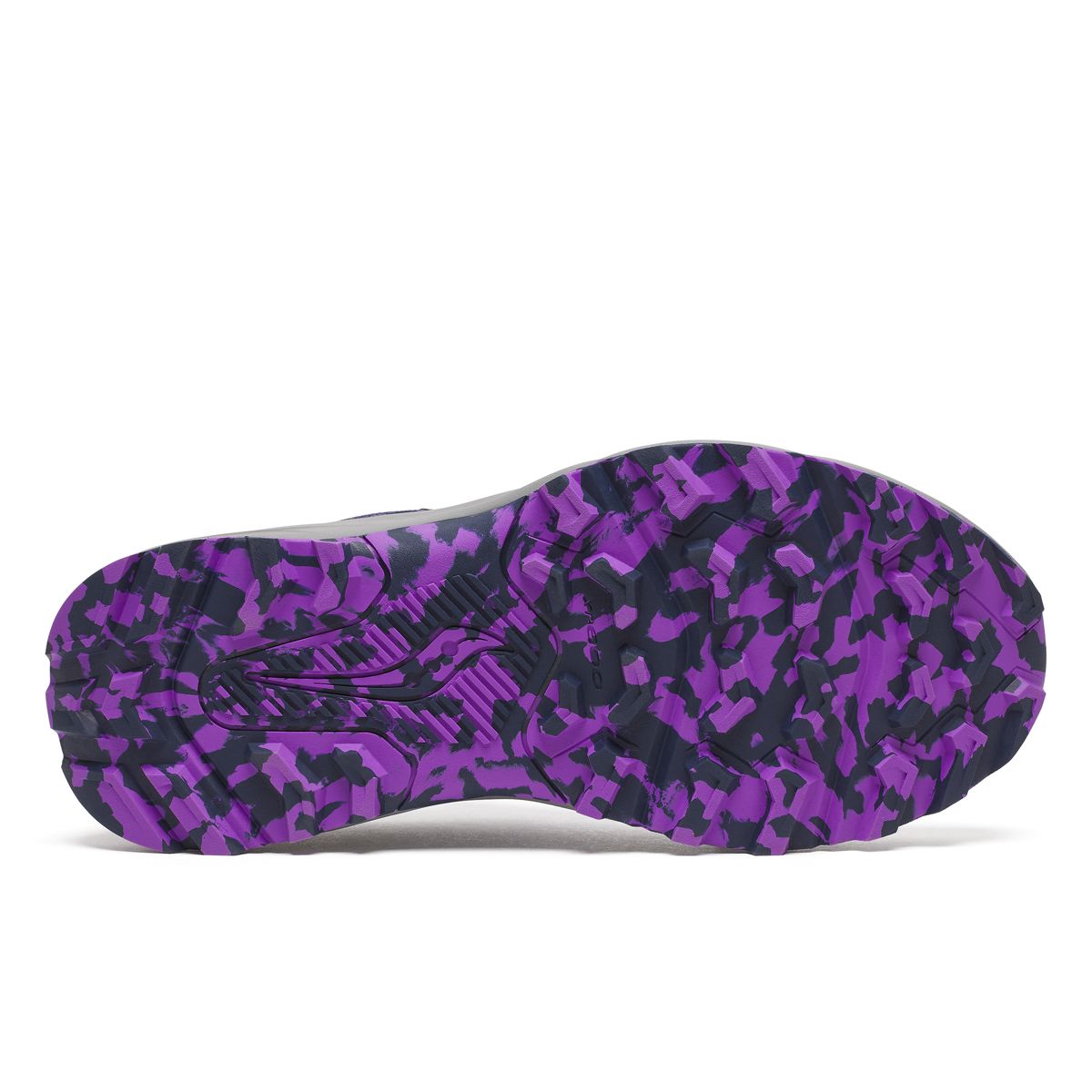 Excursion TR17, Marine | Fossil, dynamic 6