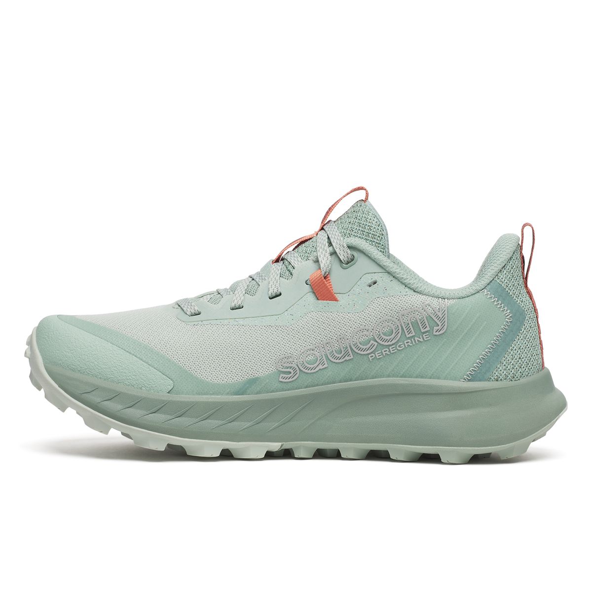 Peregrine 15, Mist | Aloe, dynamic 3