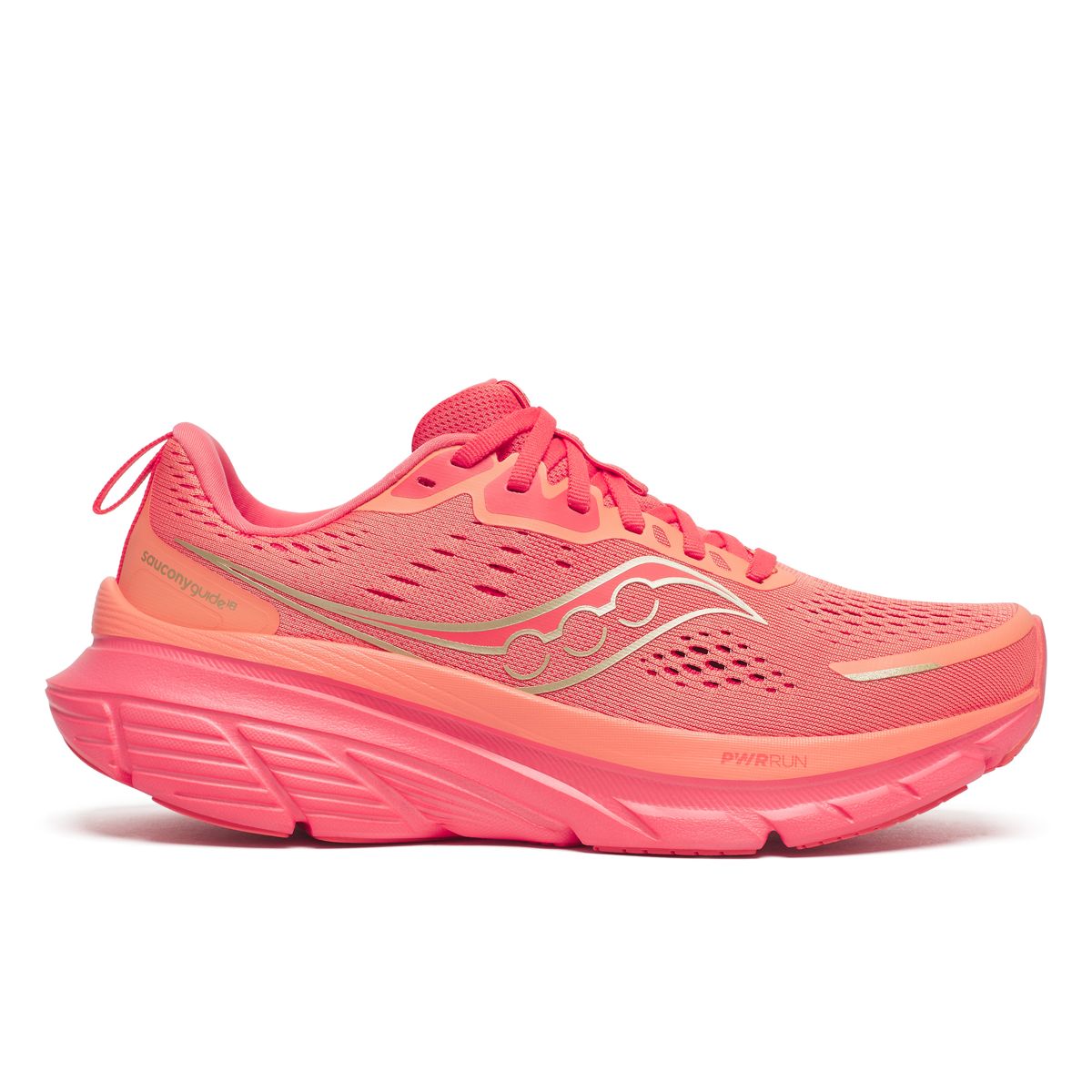 Salmon | Coral