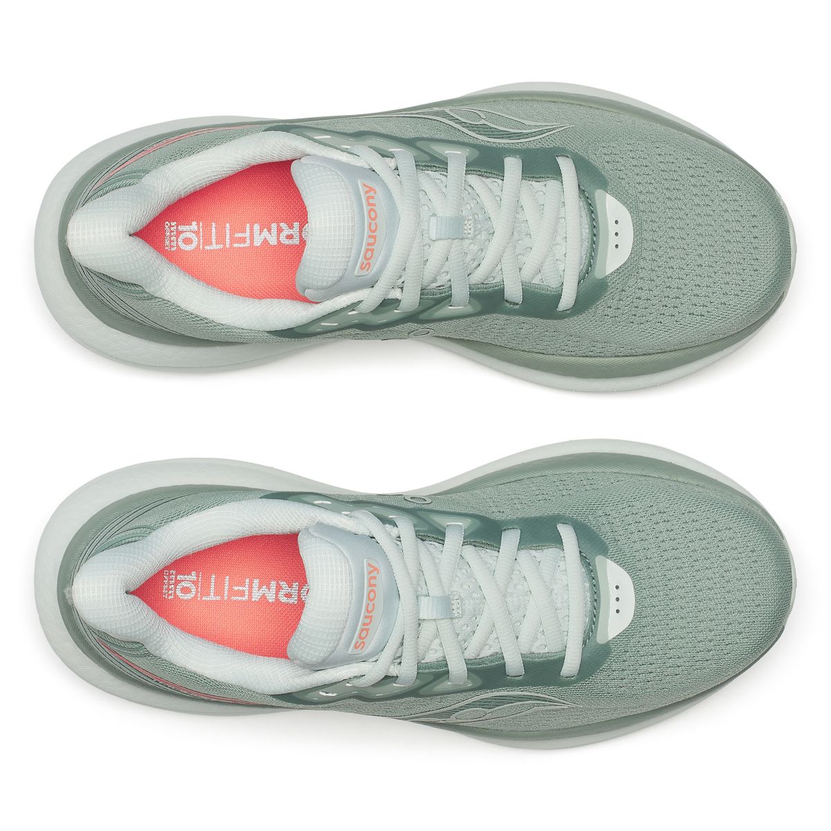 Triumph 23, Iceberg | Aloe, dynamic 5