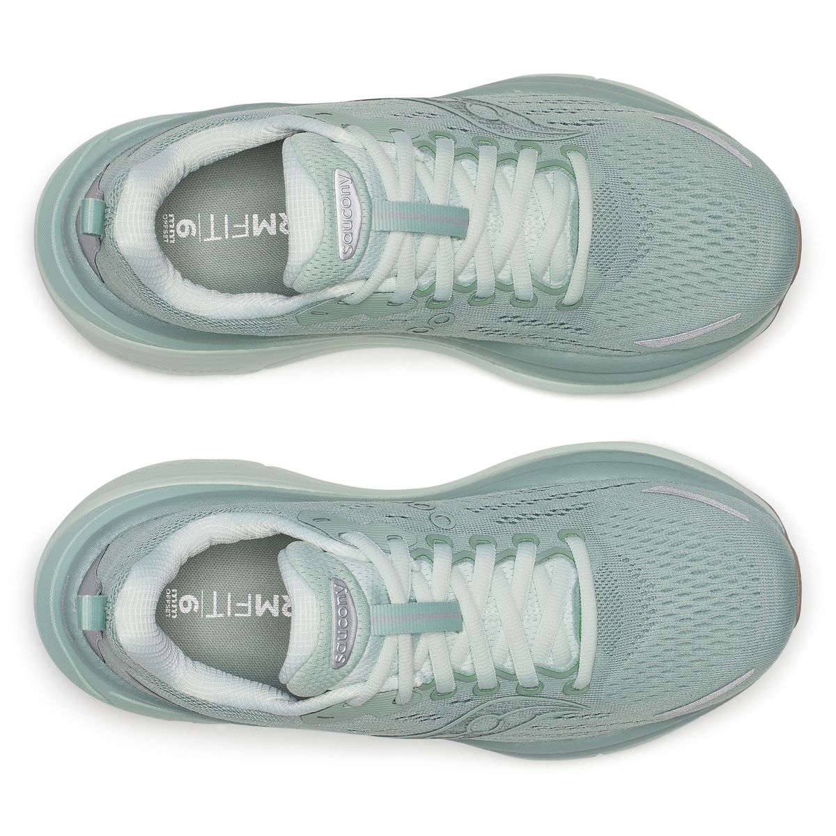 Hurricane 25, Iceberg | Aloe, dynamic 5