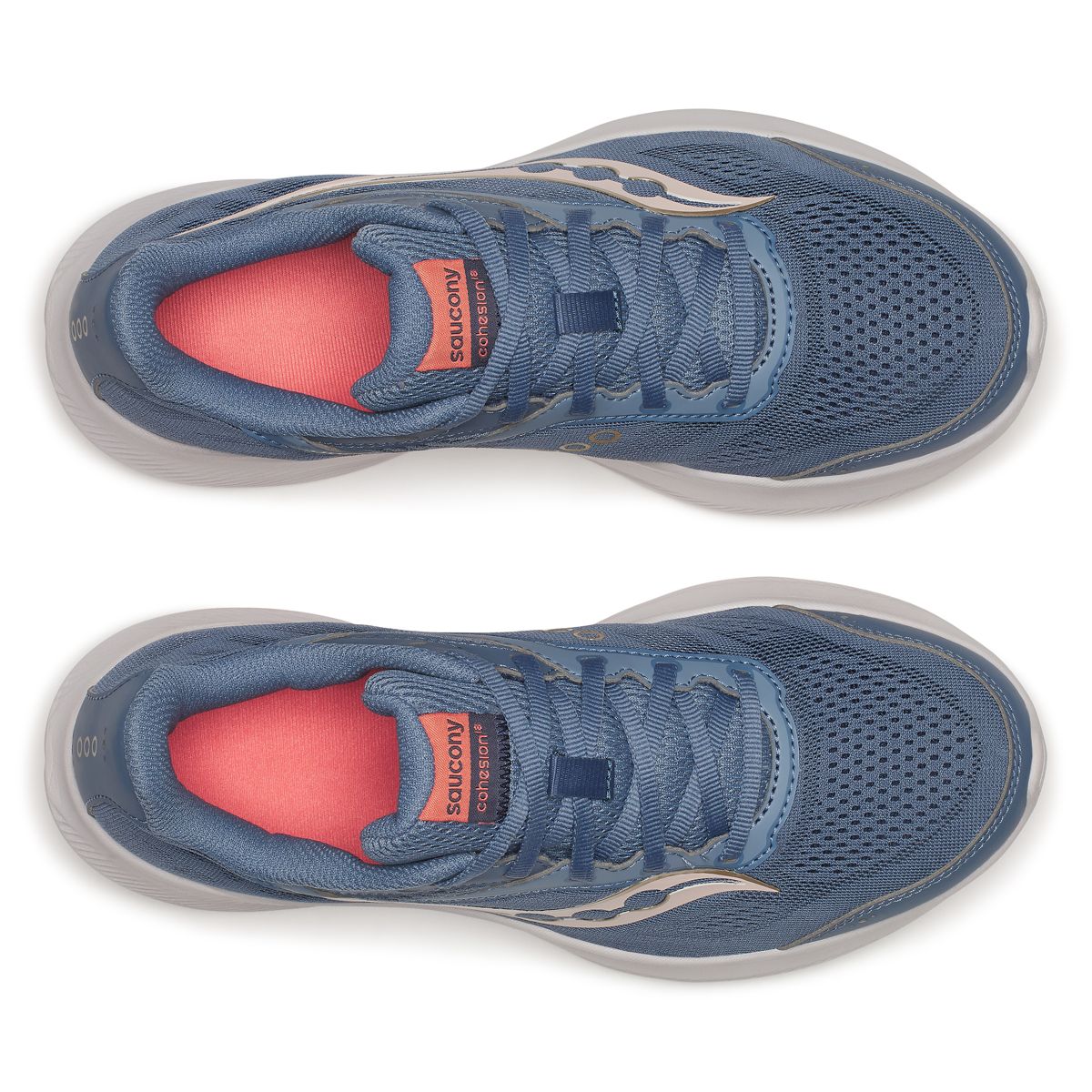 Cohesion 18, Storm | Gum, dynamic 5