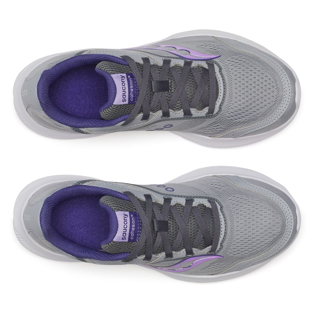 Cohesion 18, Fossil | Crocus, dynamic 5