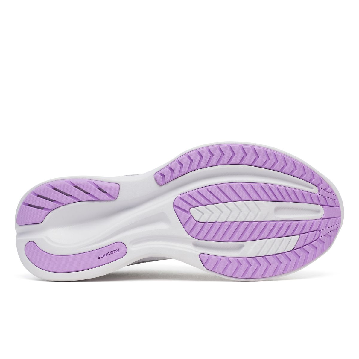 Cohesion 18, Fossil | Crocus, dynamic 6
