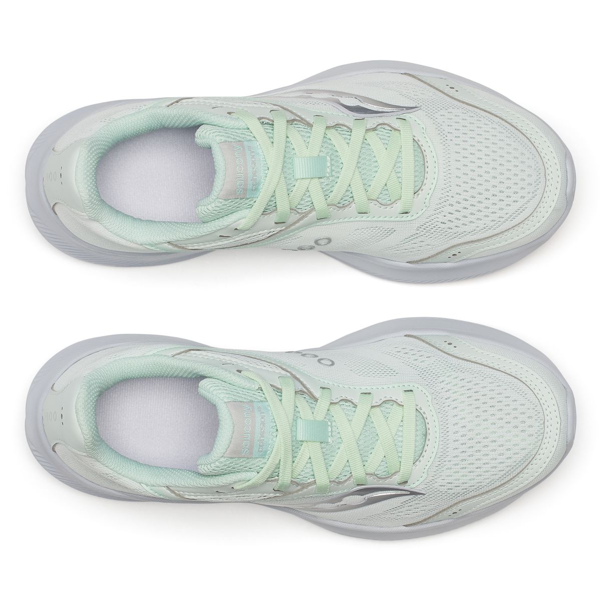 Cohesion 18, Mist | Gum, dynamic 5