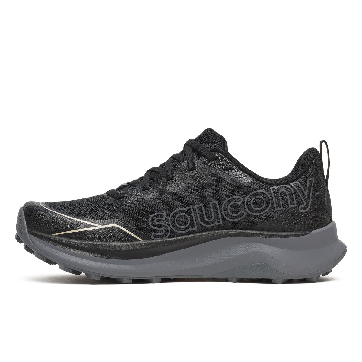Peregrine 16, Black | Carbon, dynamic 3