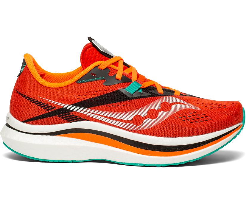 New Arrivals at Vertical Runner | Hudson Ohio & Brecksville Ohio