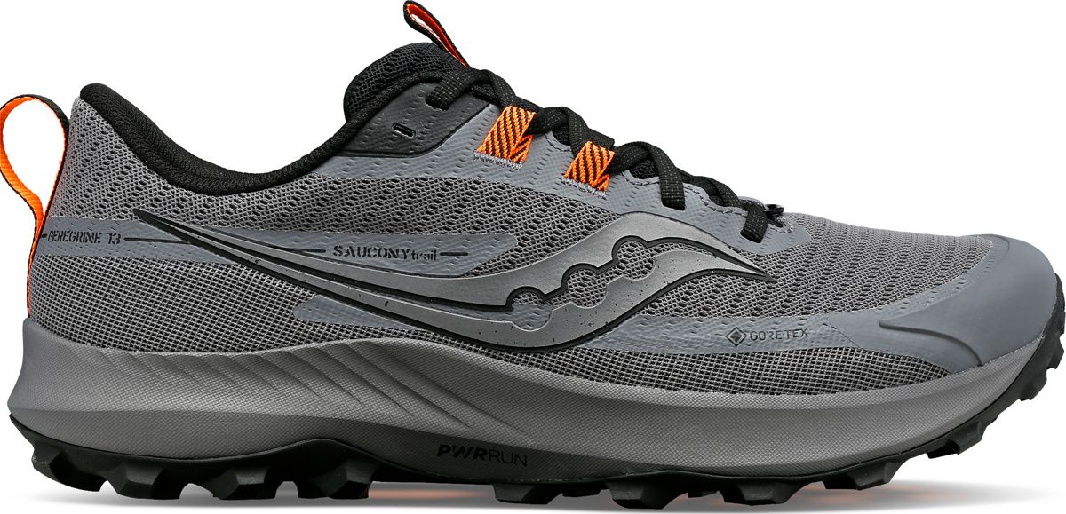 Peregrine 13 GTX, Gravel | Black, dynamic 1