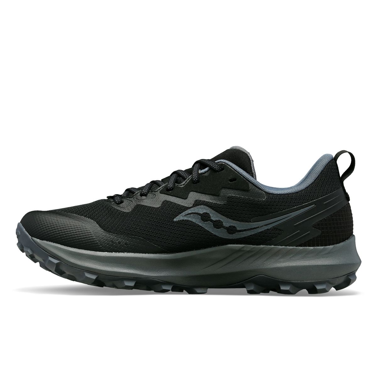 Peregrine 14 GTX, Black | Carbon, dynamic 3