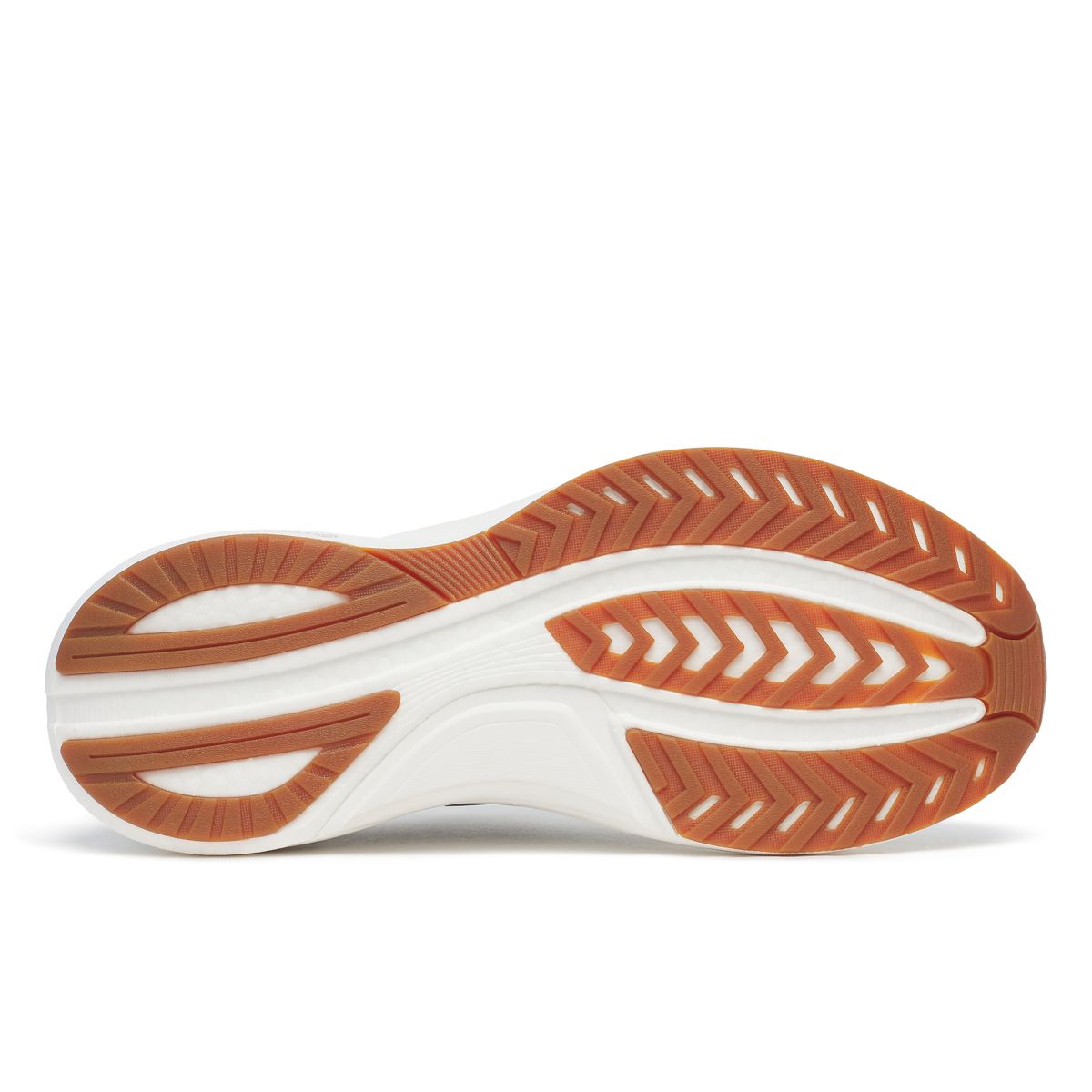 Tempus 2, Fossil | White, dynamic 6