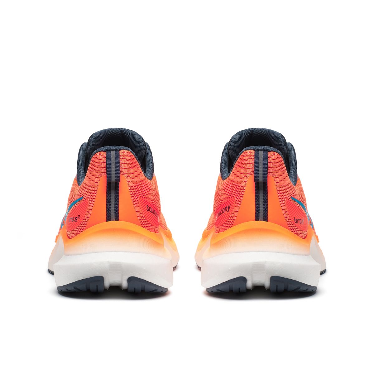 Tempus 2, ViZiOrange | Dusk, dynamic 4