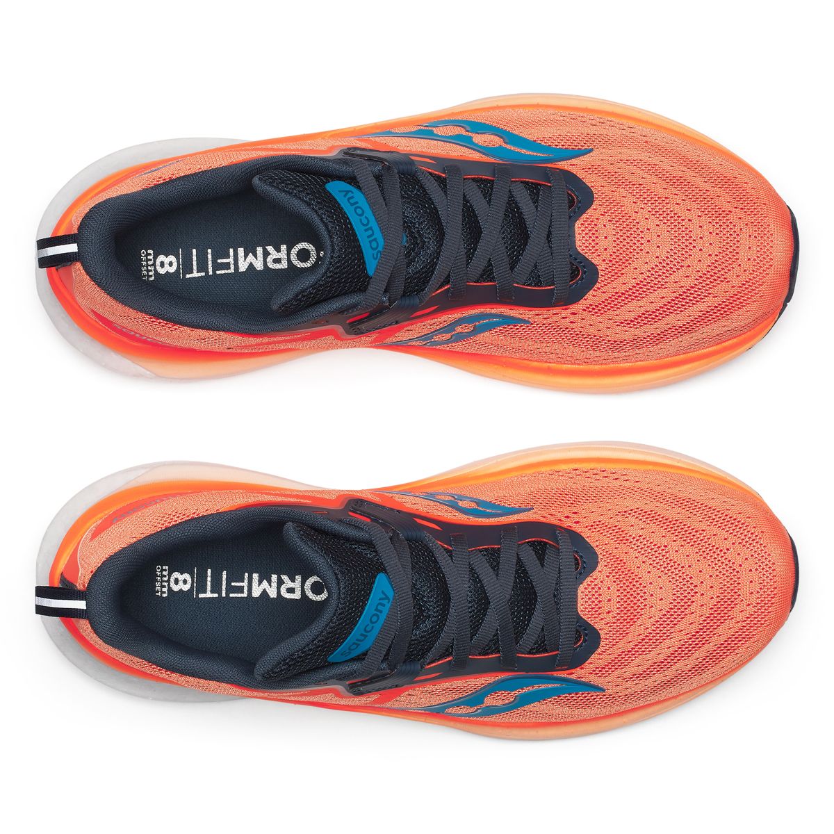 Tempus 2, ViZiOrange | Dusk, dynamic 5