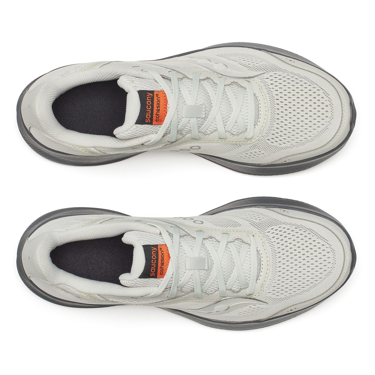 Cohesion 18, Birch | Black, dynamic 5