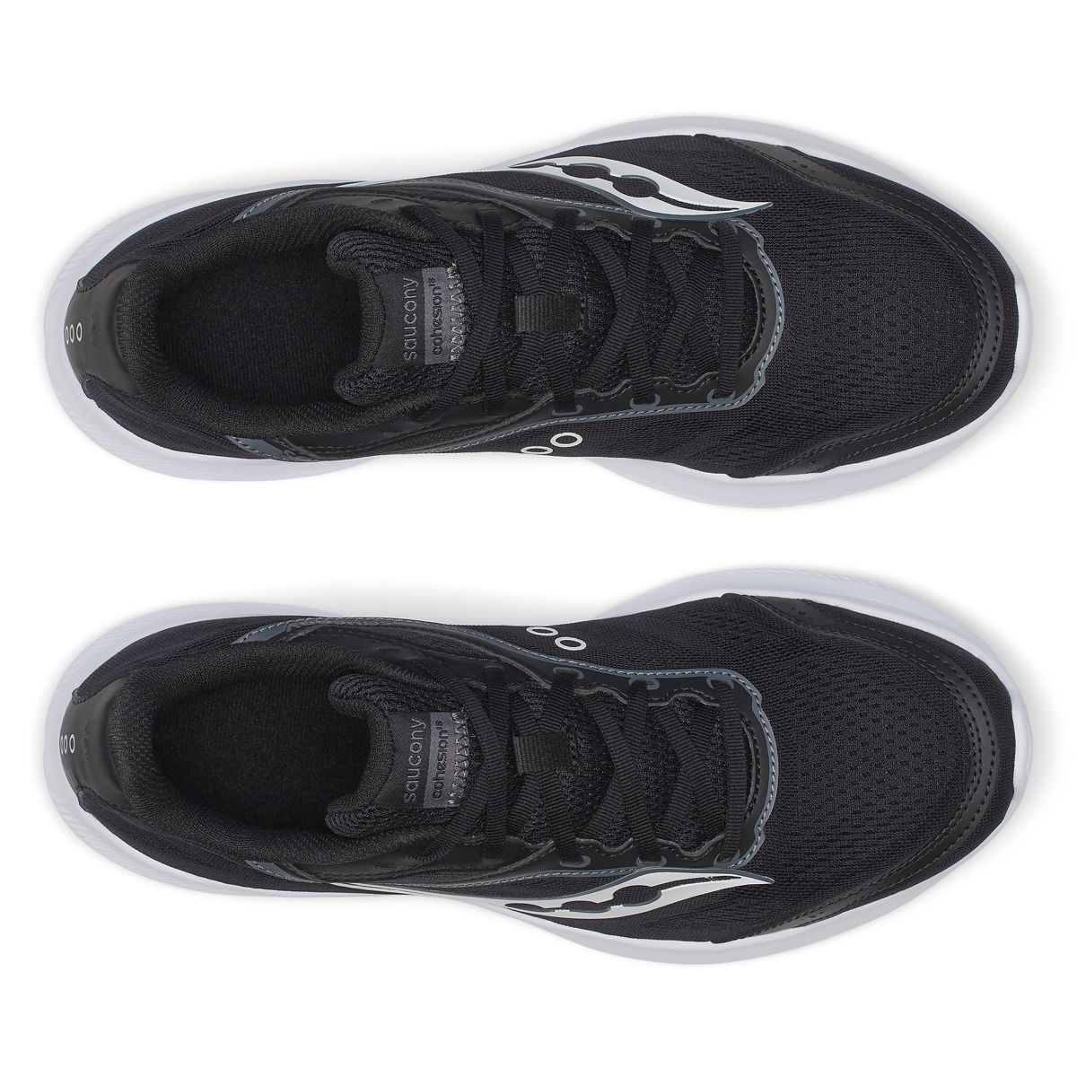 Cohesion 18, Black | White, dynamic 5