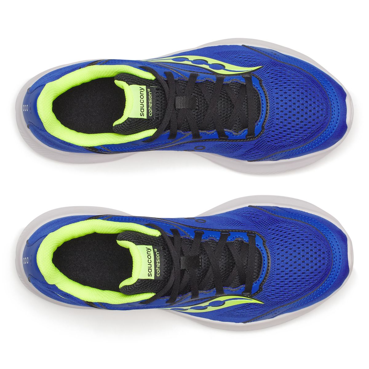 Cohesion 18, Lapis | Citron, dynamic 5