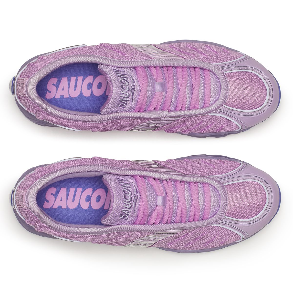 Matrix, Purple, dynamic 5