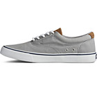 Striper II CVO Sneaker, Salt Washed Grey, dynamic 6
