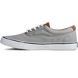 Striper II CVO Sneaker, Salt Washed Grey, dynamic 5