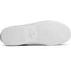 SeaCycled™ Striper II CVO Canvas Sneaker, Grey, dynamic 6