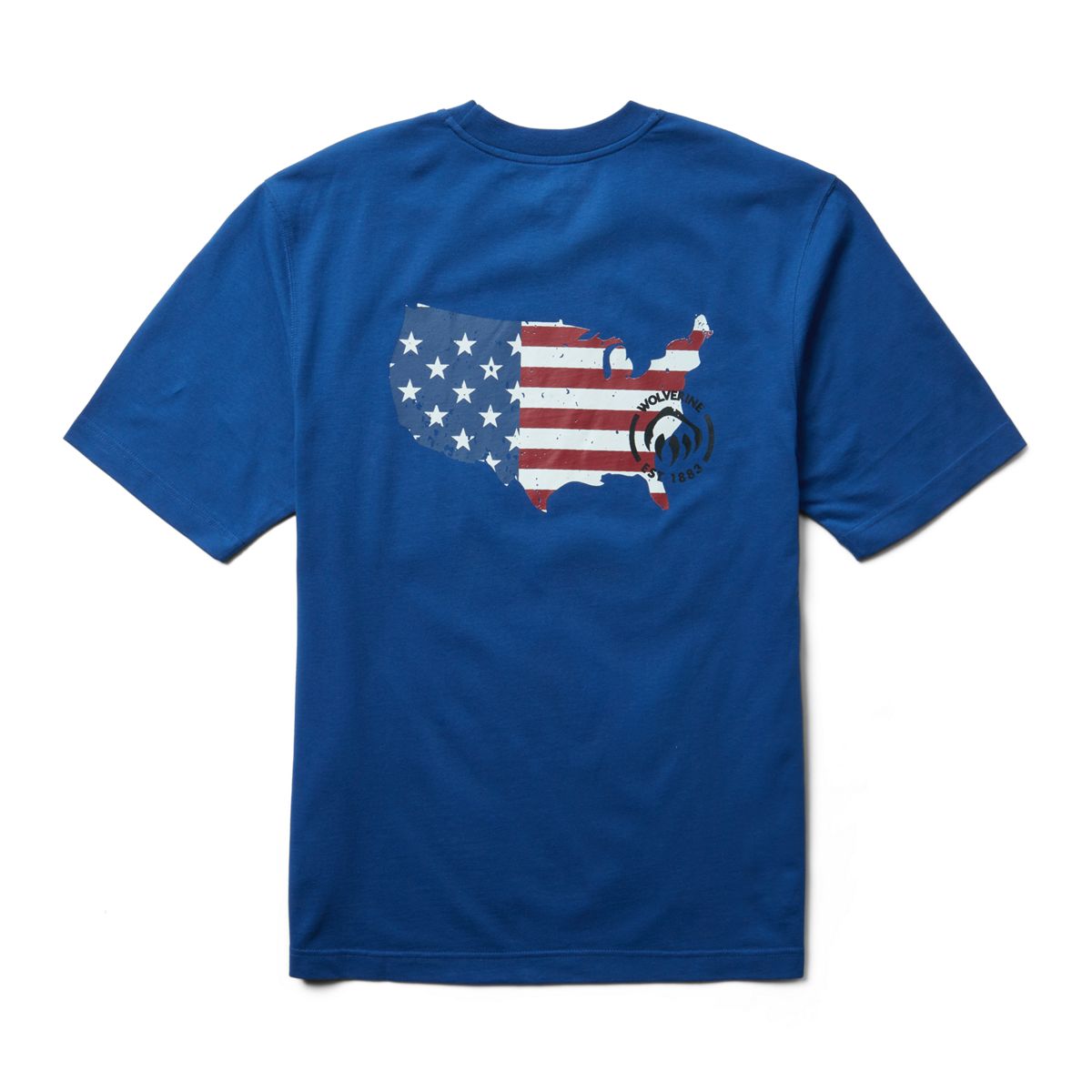 Traditional Fit Short Sleeve Graphic Tee, Horizon Blue - America, dynamic 2