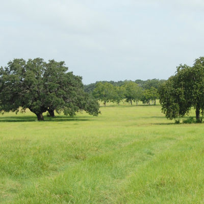 hl pasture herbicide