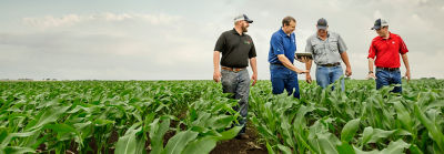 Agronomy Resources Pioneer Seeds