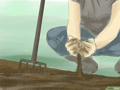 FaktorFaktor yang Mempengaruhi Pertumbuhan dan Perkembangan Tanaman