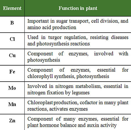 Micronutrients for Crop Production | Pioneer Seeds