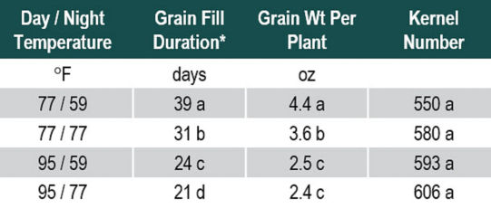 Table showing effect of temperature on grain fill duration, grain weight per plant and kernel number.