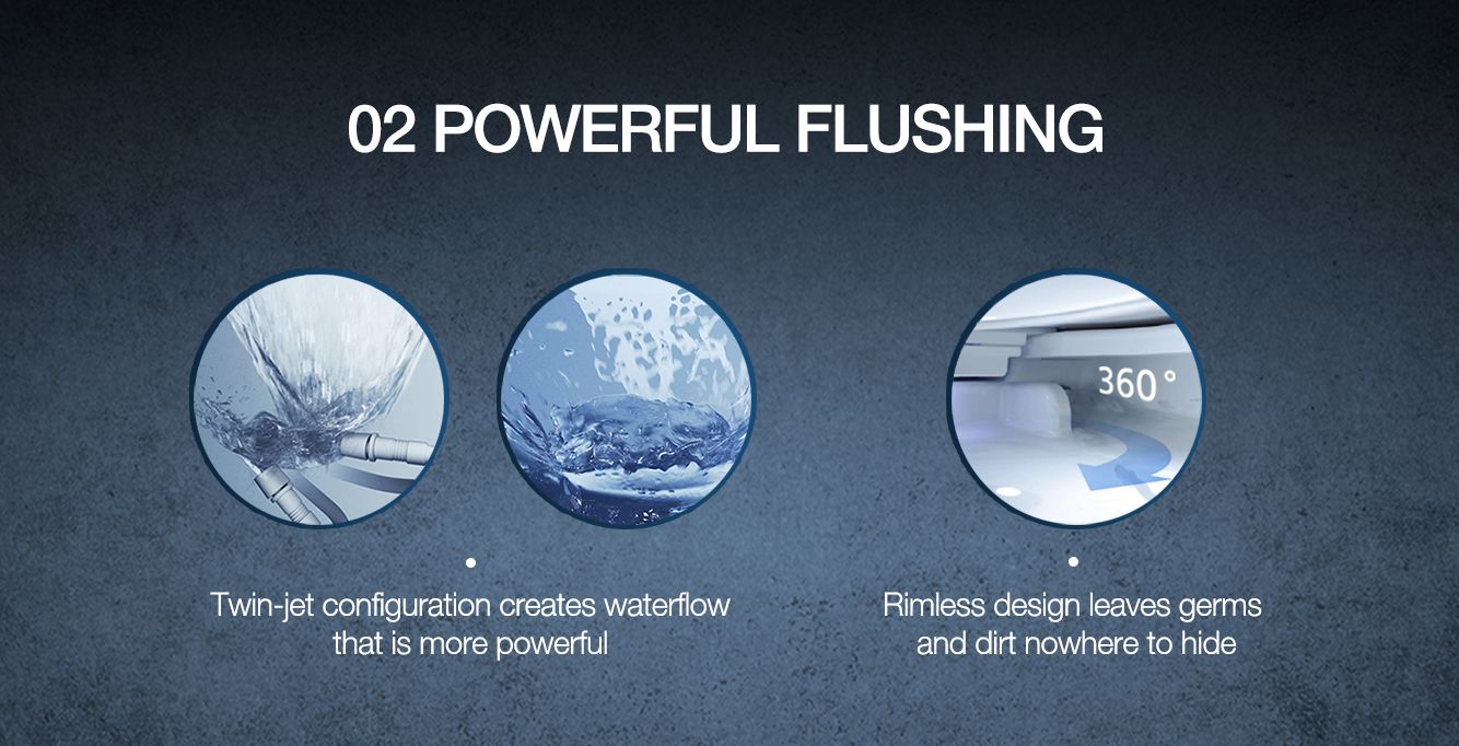 02Powerful Flushing?scl=1