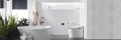 Bathroom and Designer Kitchen Fixtures 