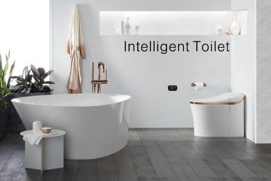 Intelligent Toilet