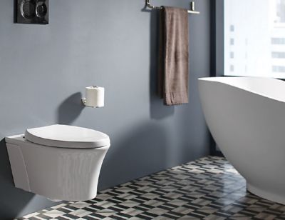 Model Toilet Minimalis Modern untuk Kamar Mandi