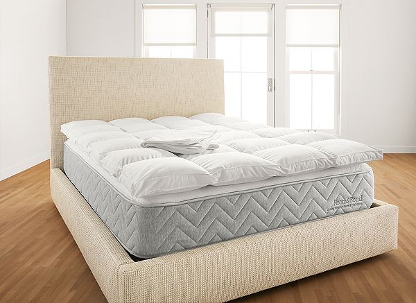 feather bed topper costco