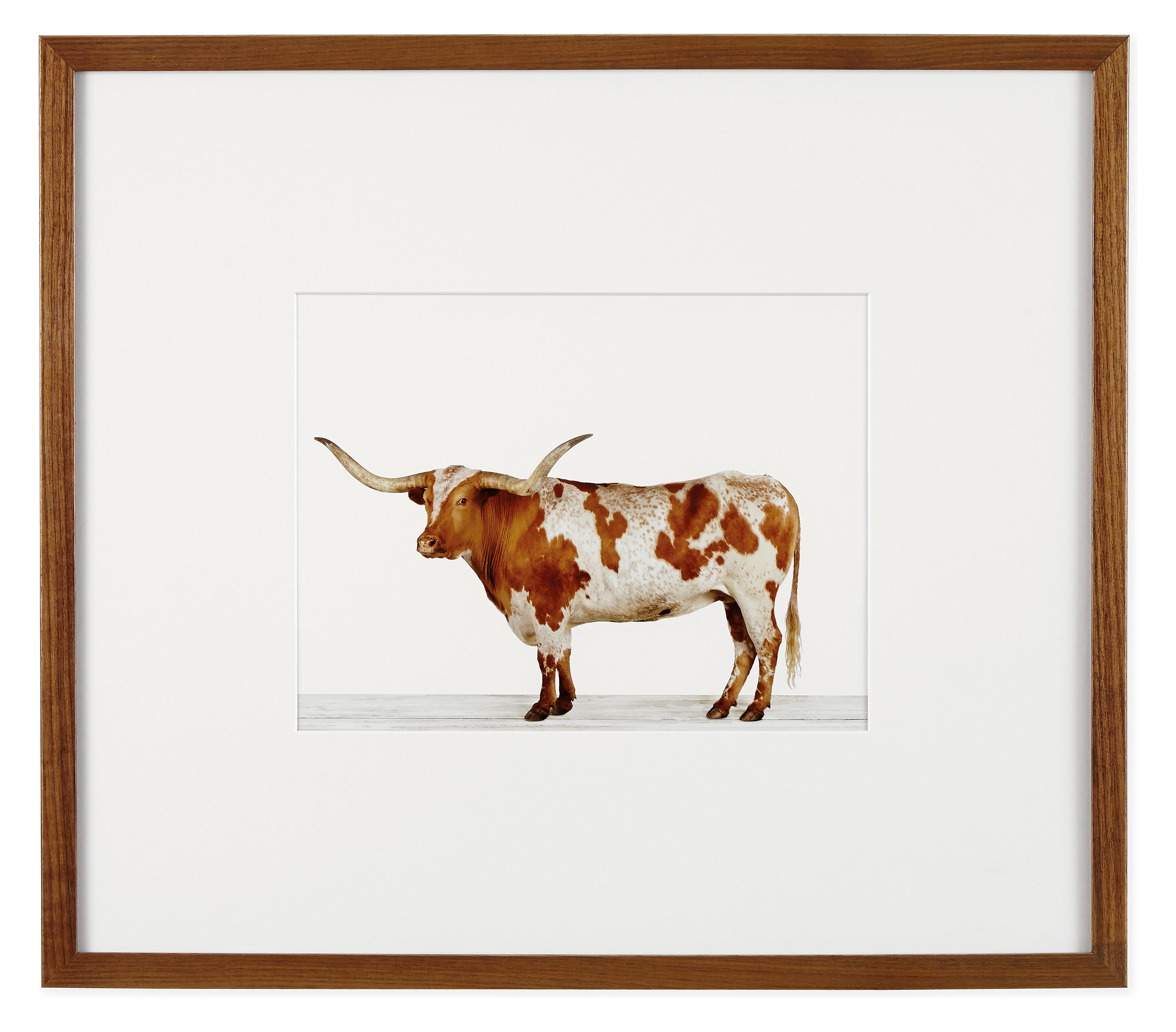 Sharon Montrose Animal Portraits American Frame Modern Home