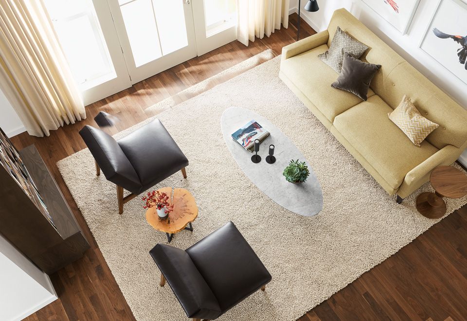 An Cozy Living Room Decor With Rug