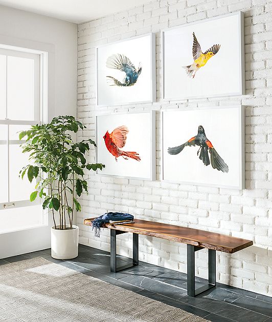 Paul Nelson North American Bird Photographs Photography Modern