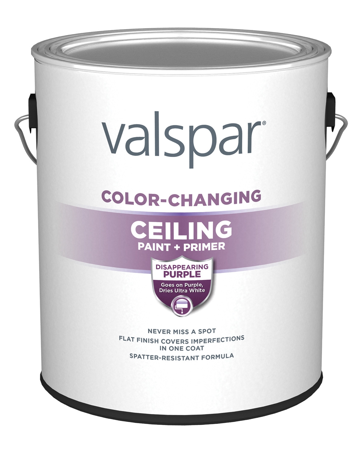 Valspar® Interior Paint and Exterior Paint Products